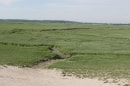 Noyelles: baie de Somme